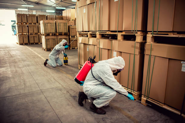 Best Exterminator Services  in Brandon, FL