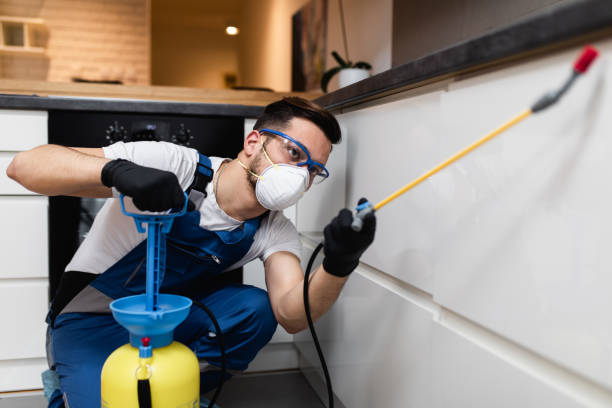 Best Pest Control Near Me in Brandon, FL