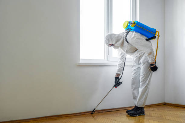 Brandon, FL Pest Control Company