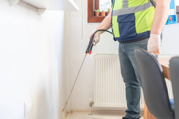Pest Prevention Services in Brandon, FL