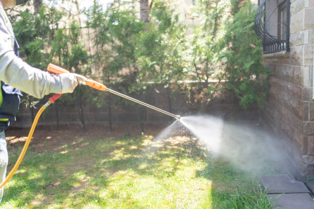 Best Best Pest Control Companies  in Brandon, FL